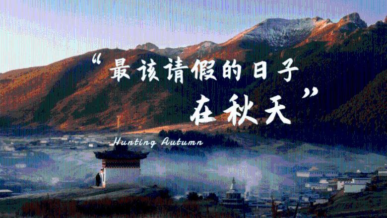 巫师之徒