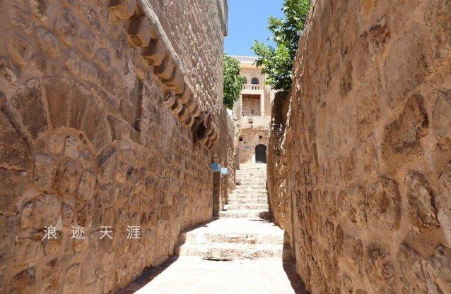 【两会关注】晁忠琼代表：让普安红茶走出国门香飘世界