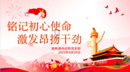 幼儿园的孩子该怎样选择兴趣班呢？兴趣培养有多重要呢？
