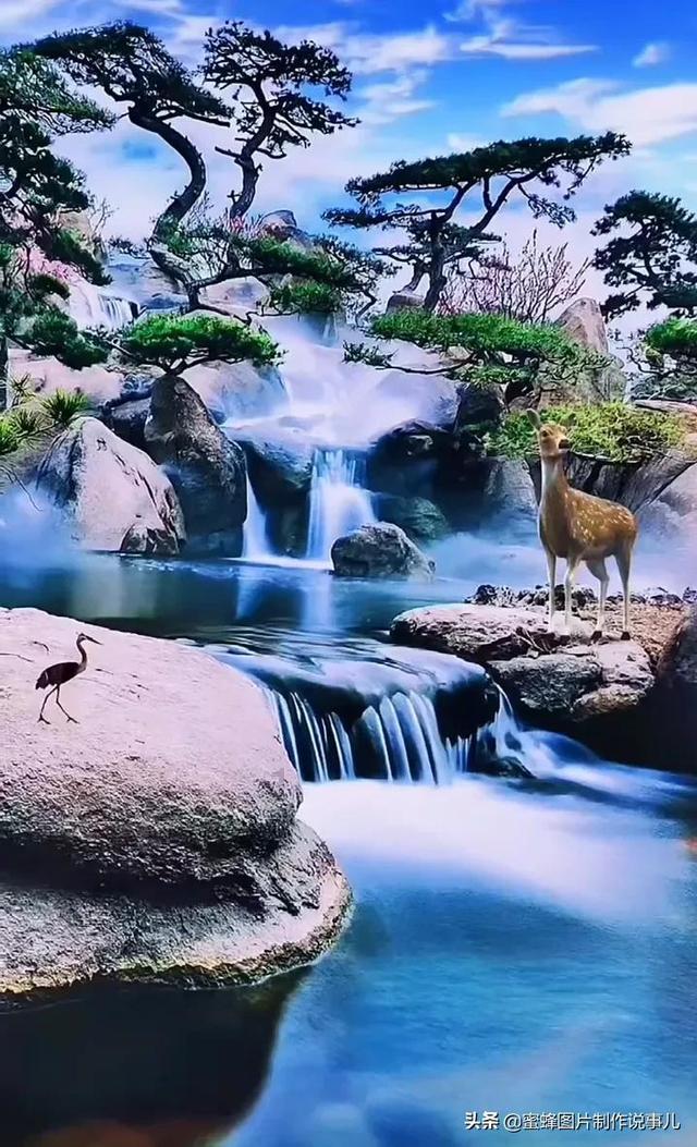 芭比娃娃的服装