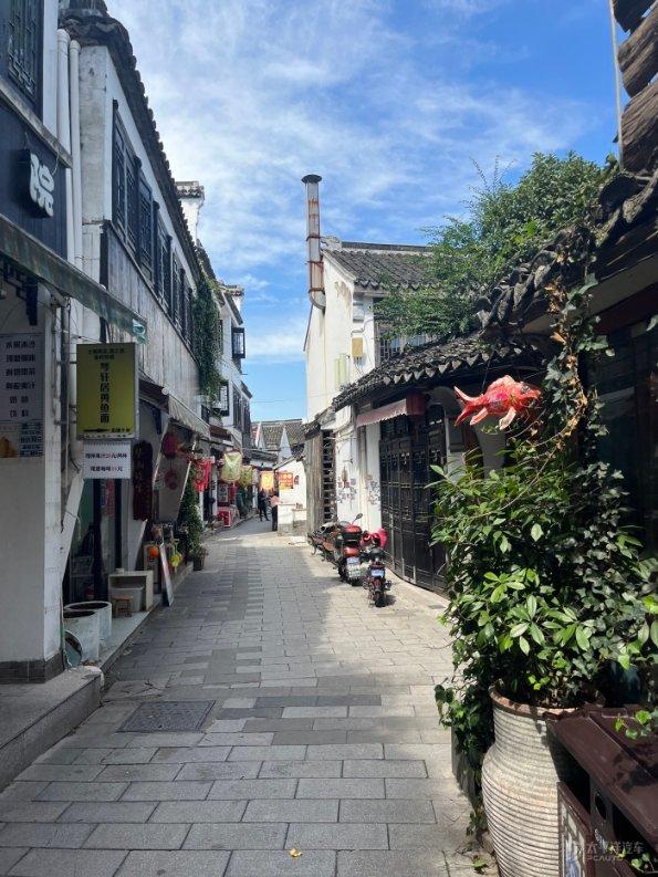 为什么奶茶店茶饮中含这么多咖啡因？